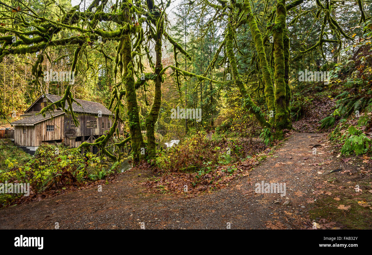 The Cedar Creek Grist Mill in Washington State Stock Photo Alamy