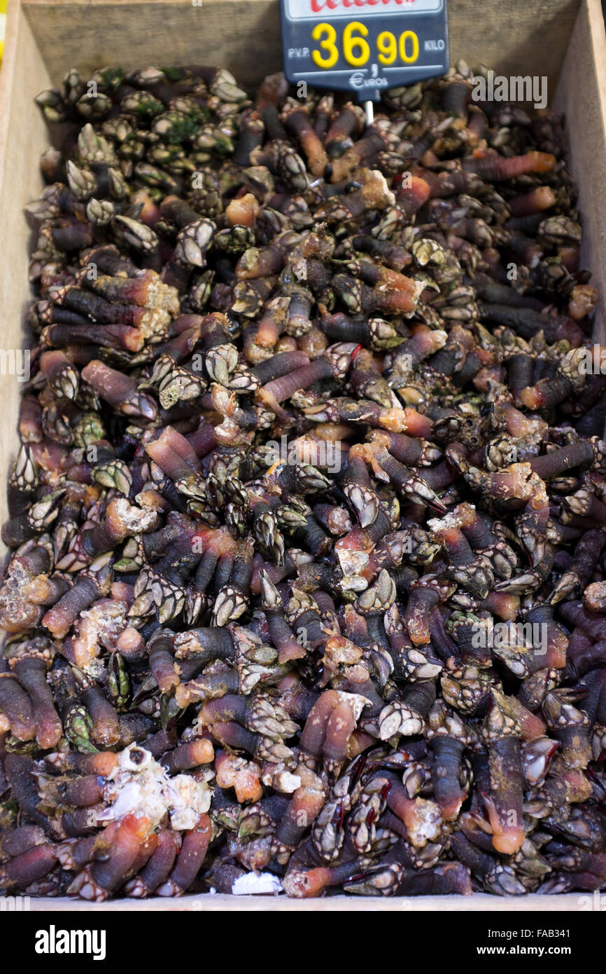 Percebes hi-res stock photography and images - Alamy