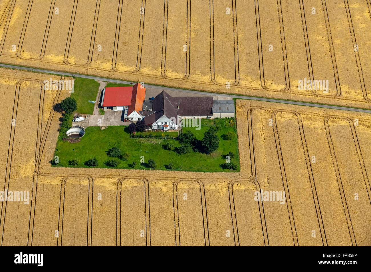 Aerial view, homestead, farm in the middle of a cornfield with ruffles, Rödinghausen, East Westphalia, North Rhine-Westphalia, Stock Photo