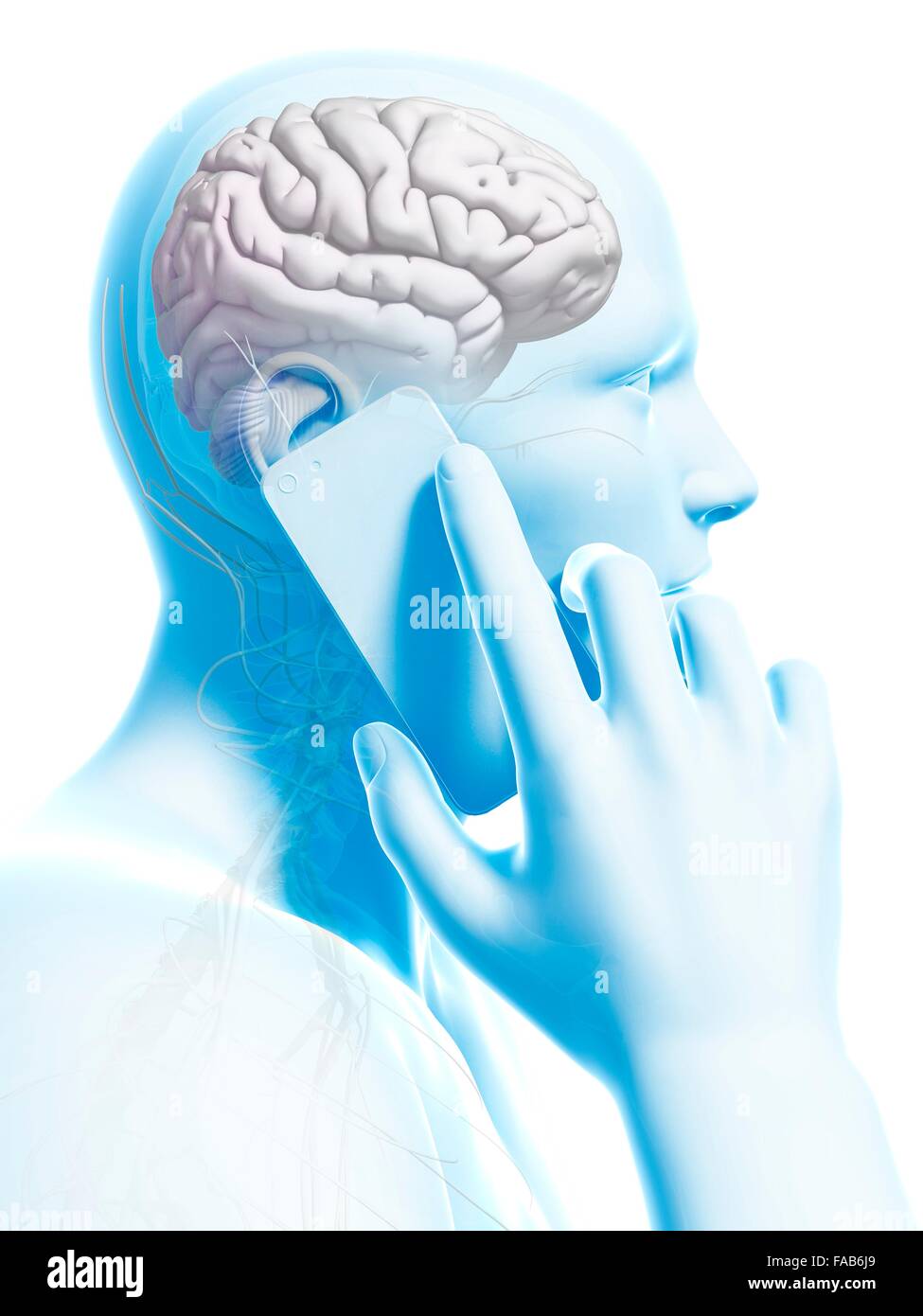 The influence of using a cell phone on the human brain, computer ...