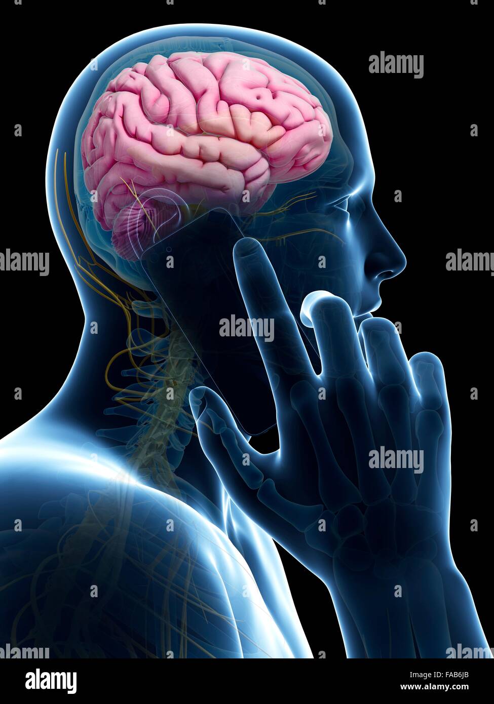 Human brain hi-res stock photography and images - Alamy