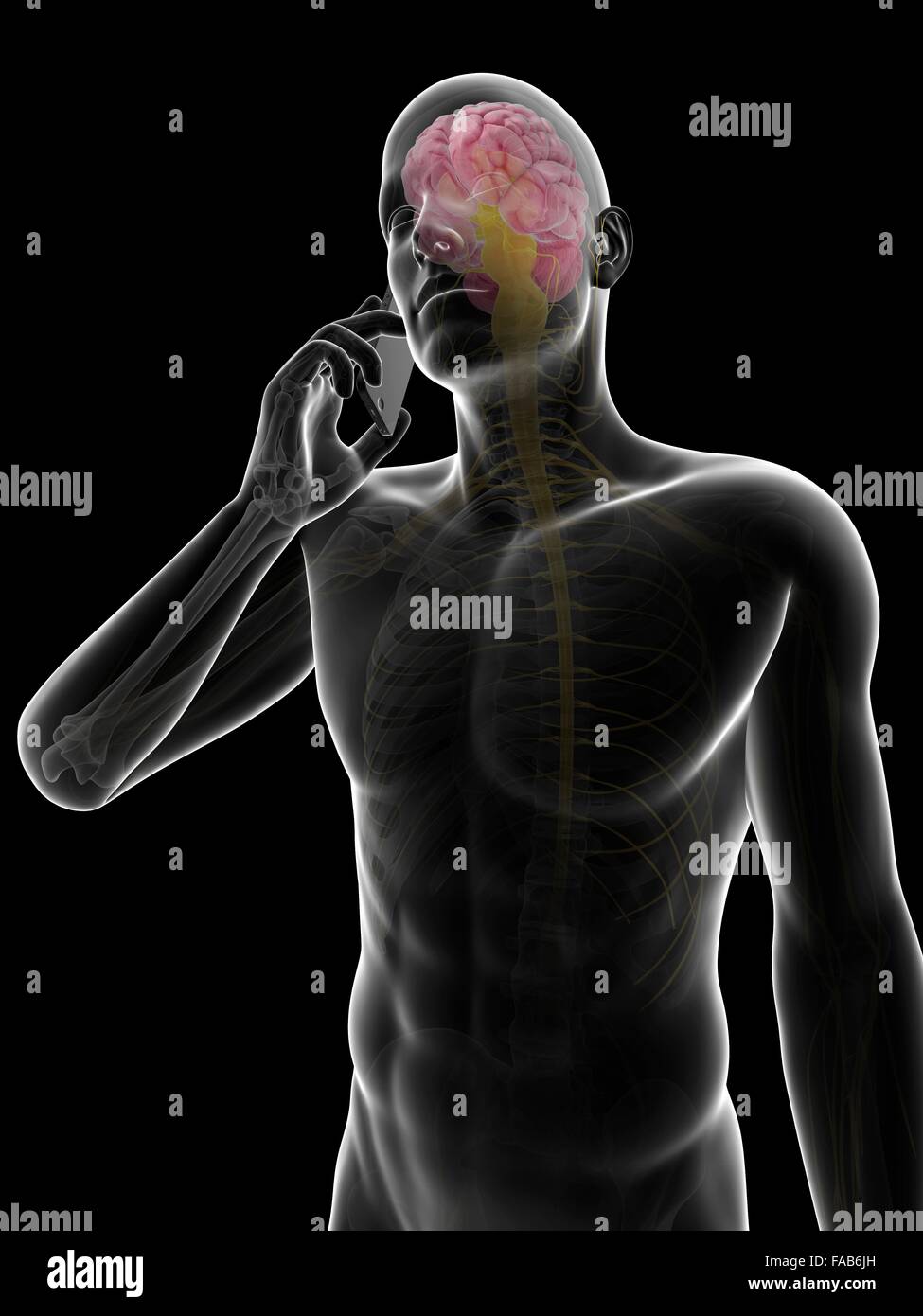 The influence of using a cell phone on the human brain, computer ...