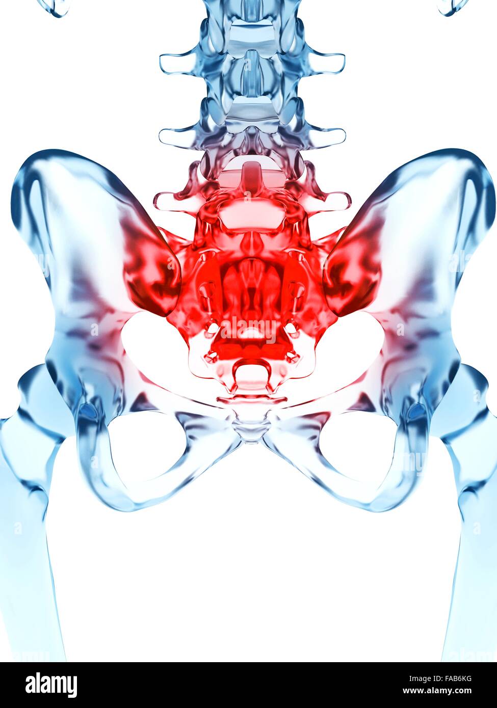 Human sacrum pain, computer illustration. Stock Photo
