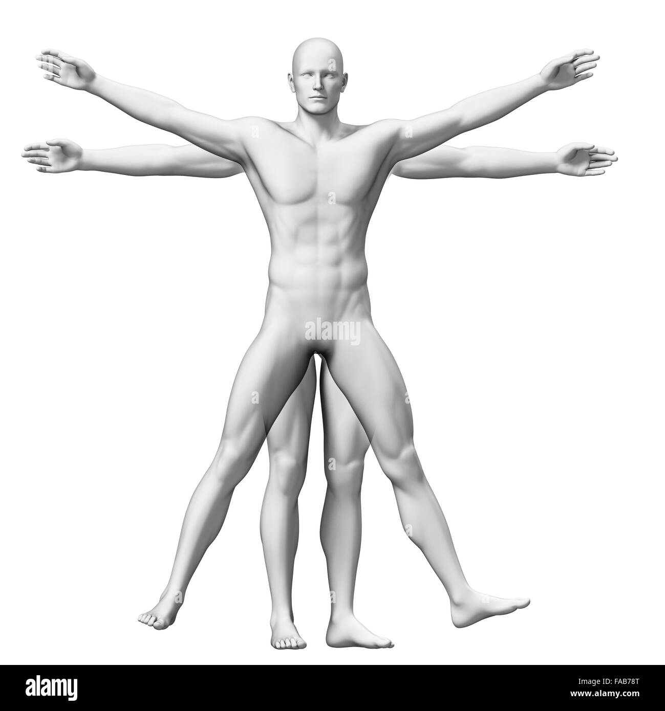 Human anatomy (Vitruvian man), computer illustration. Stock Photo
