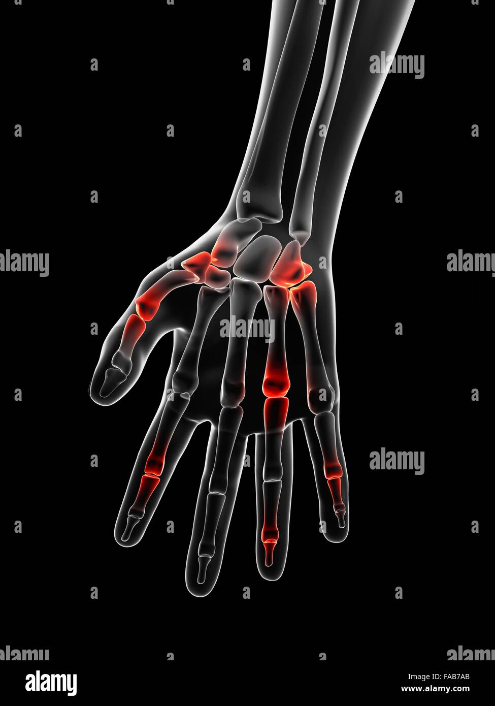 Finger joint hires stock photography and images Alamy
