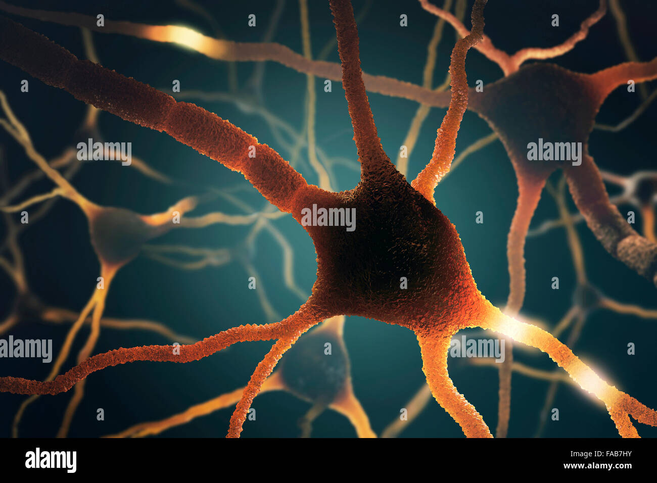 Nerve cell, computer illustration Stock Photo - Alamy