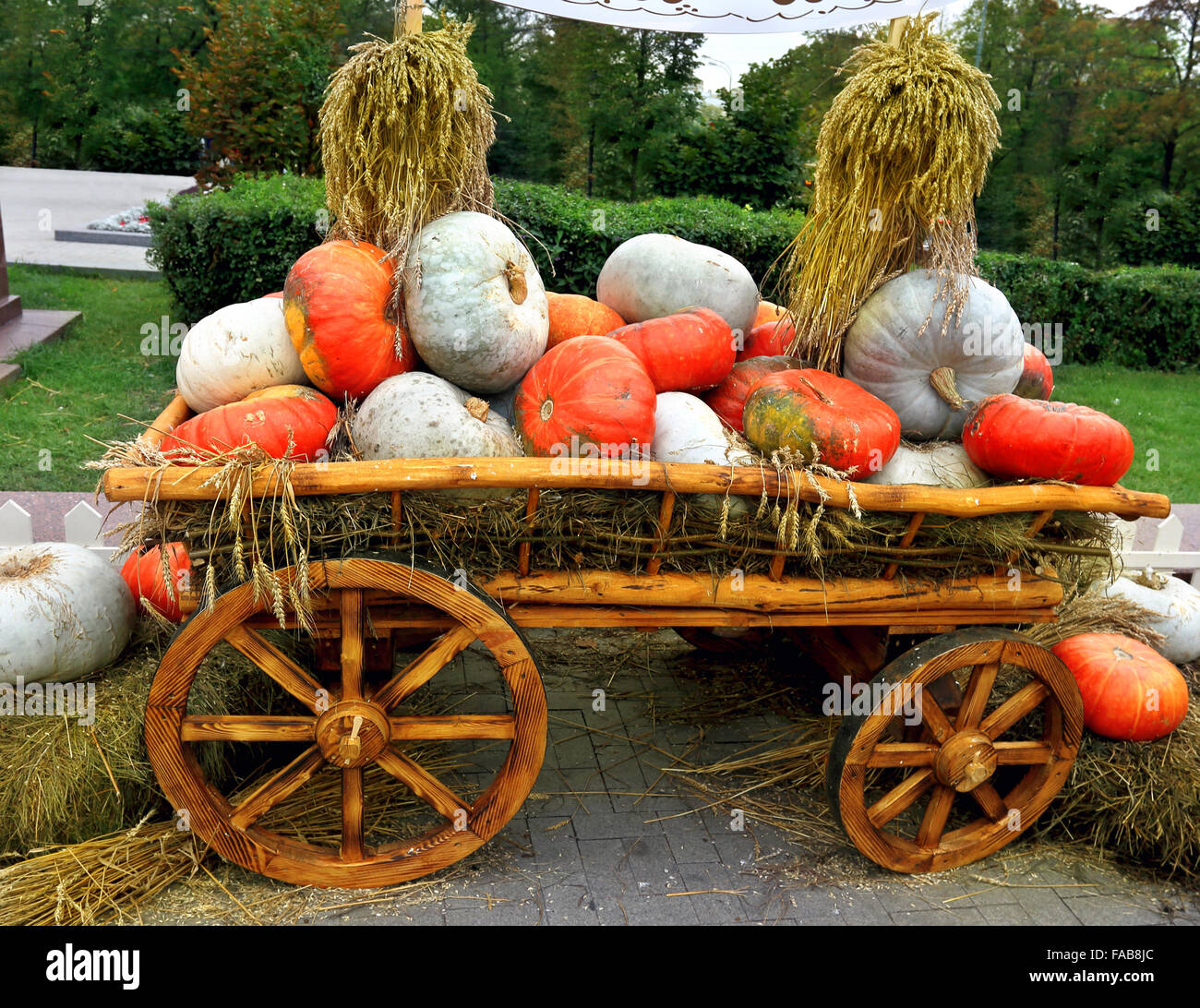 Red and white pumpkins on a wooden cart with straw Stock Photo