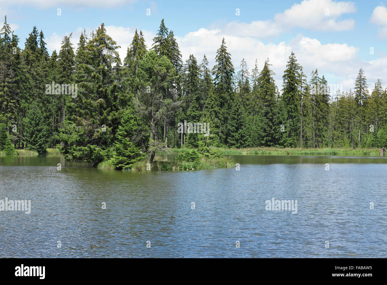 Kladska peats Glatzener Moor Stock Photo Alamy