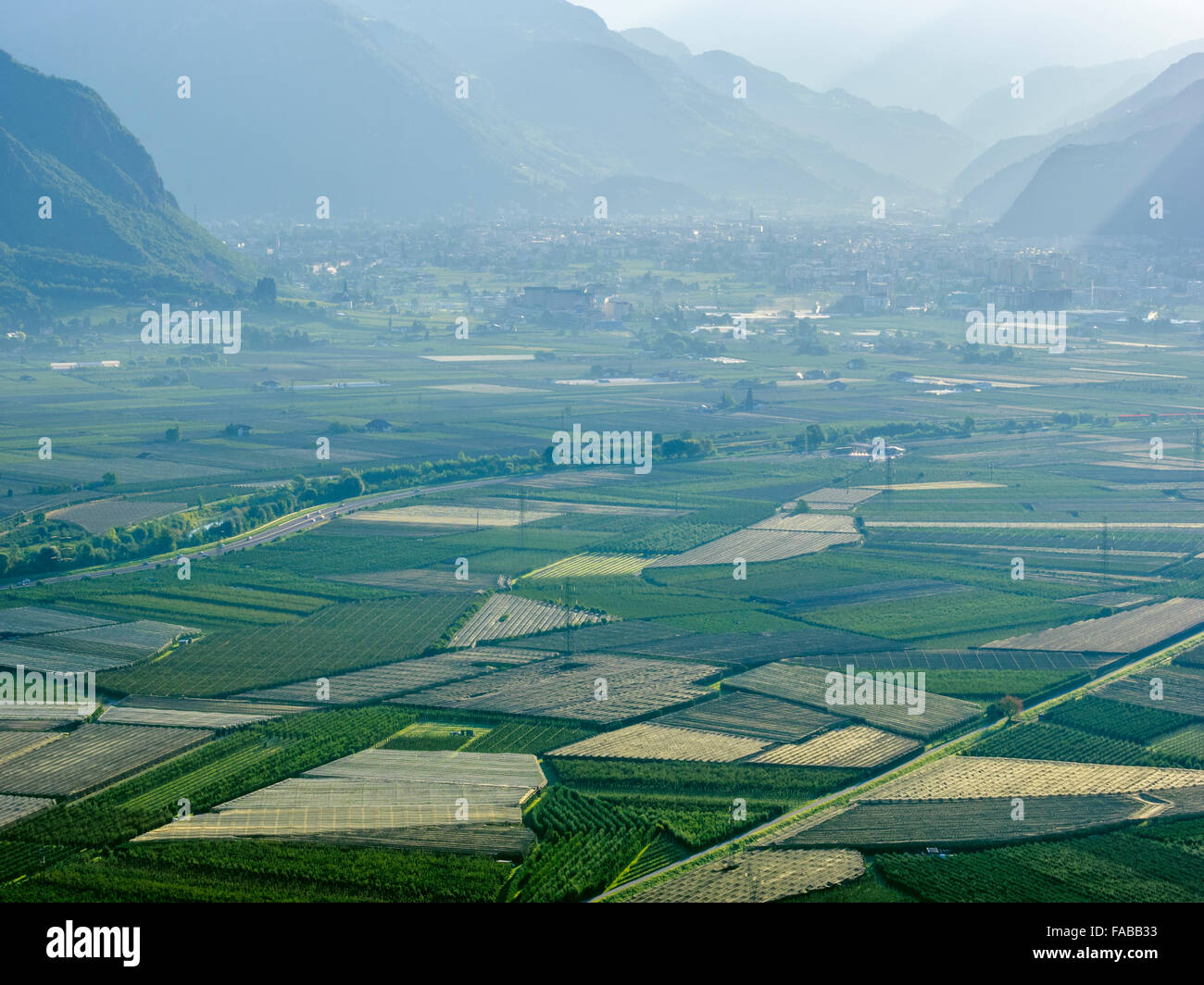 Agriculture and vinyards in the Etschtal Valley in South Tyrol area of Northern Italy Stock Photo