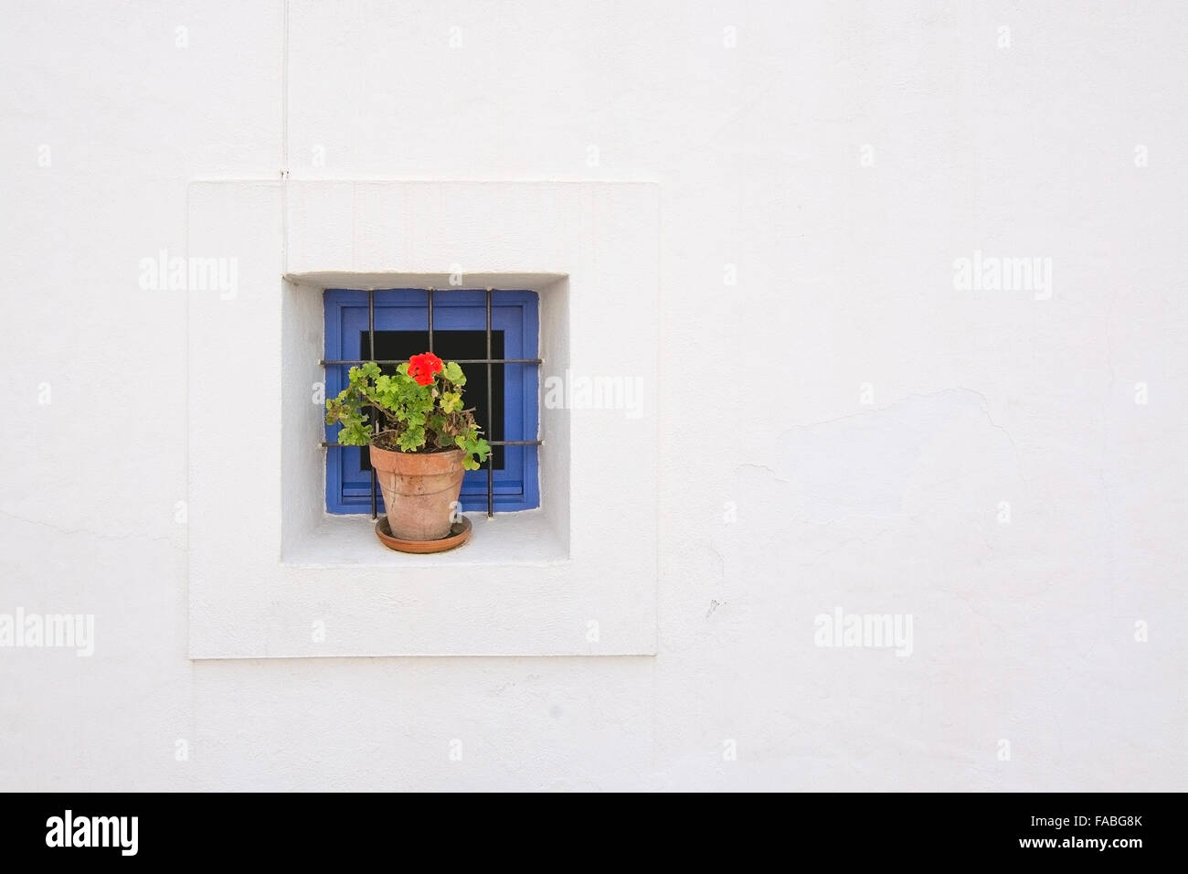 Red geranium in terracotta pot in white house window with blue window