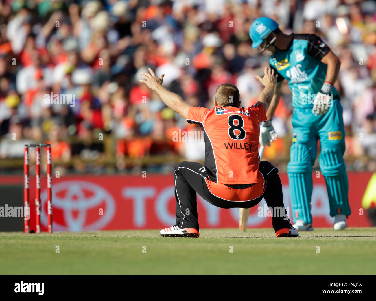 26.12.2015. Perth, Australia. Big Bash Cricker League 05, Perth Scorchers versus Brisbane Heat. David Willey appeals for an LBW during one of his overs. Stock Photo