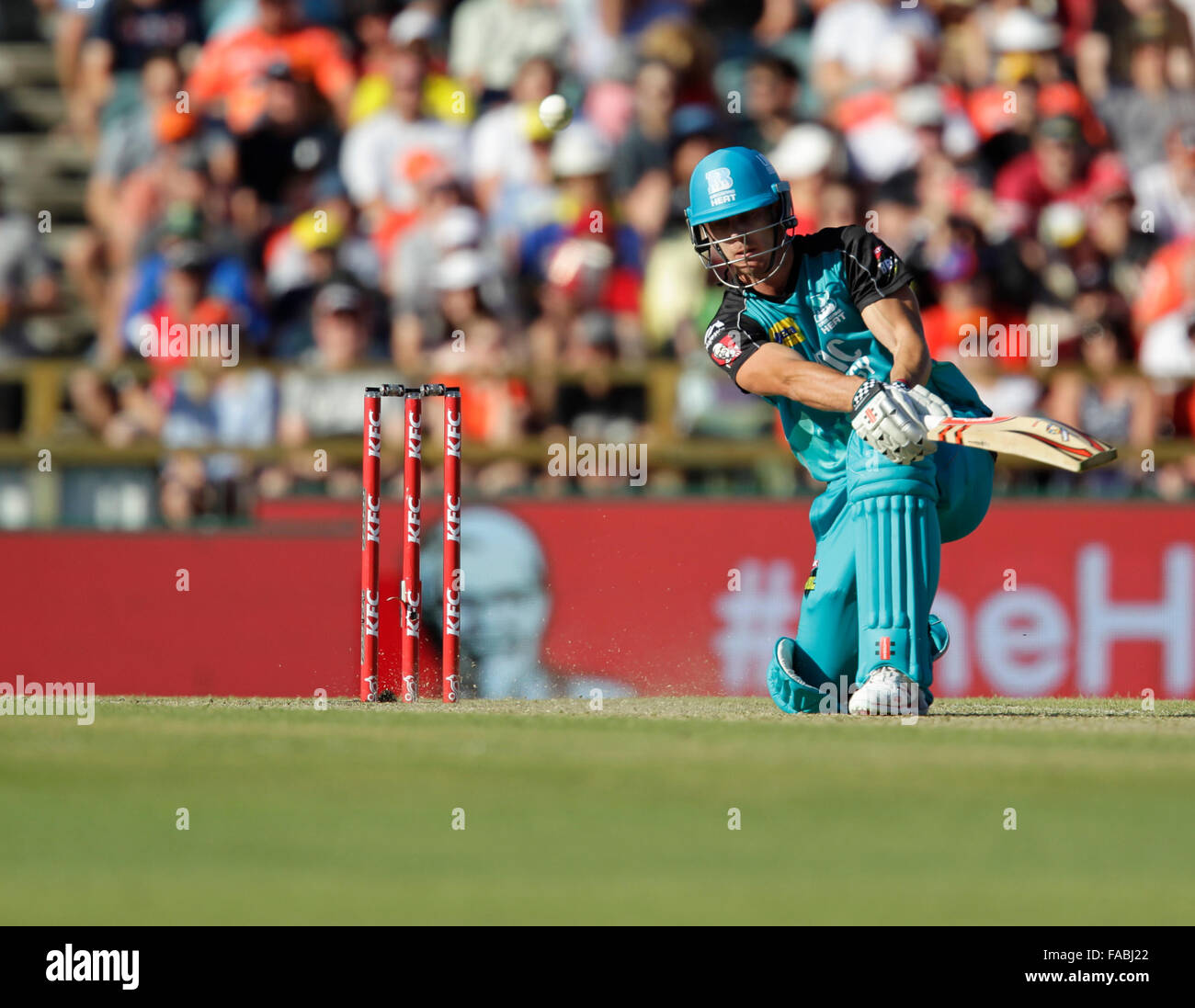 big bash 2019 cricbuzz