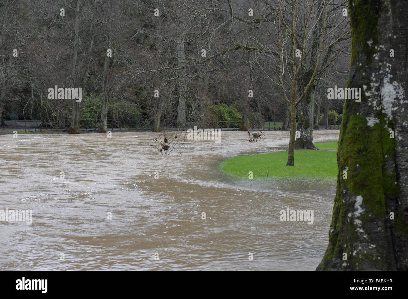 Hawick, Mansfield, UK. 26.12.2015.   Boxing Day weather warnings More weather warnings posted for the Scottish Borders just weeks after Storm Desmond wrecked the area, excessive surface water the main problem as the rivers fill once again.   Credit:  Rob Gray/Alamy Live News Stock Photo