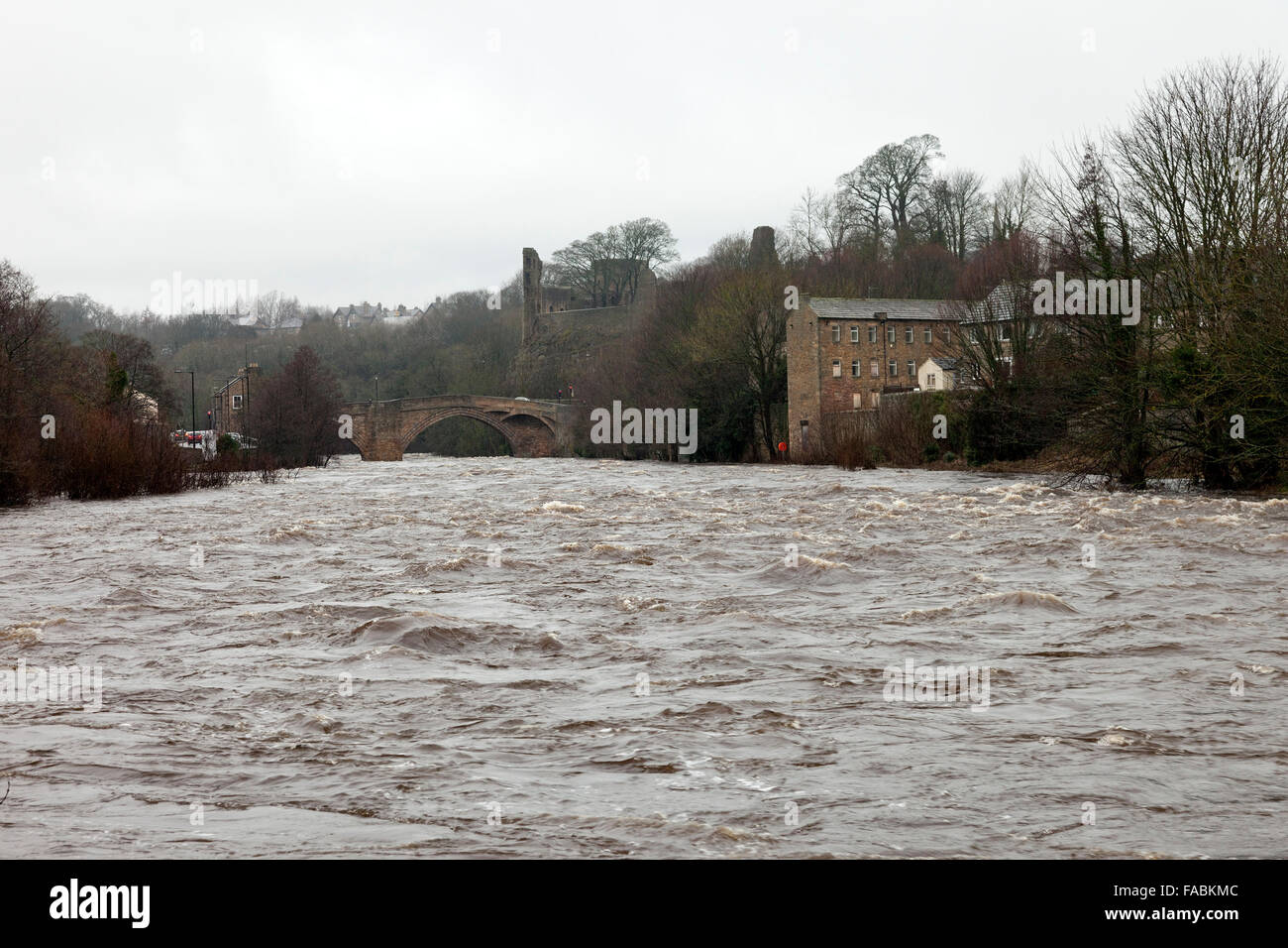 River Tees, Barnard Castle, Teesdale, County Durham, 26th December 2015. UK Weather.  The River Tees flowing under the County Bridge in Barnard Castle after heavy overnight rain left many rivers in Northern England at flood level. Stock Photo