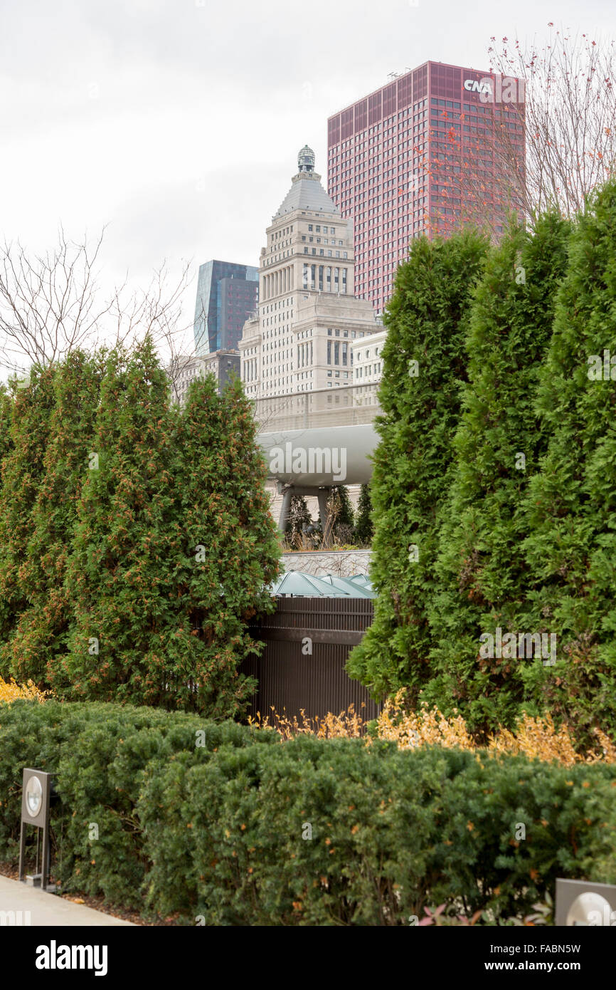 View across trees and bushes towards skyline of Chicago, Illinois, USA Stock Photo