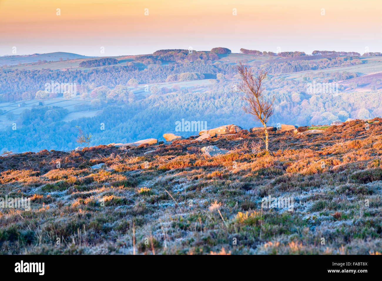 Warm Colorful Sunrise Light in Heathery Moorland Covered in Spring Frost Stock Photo