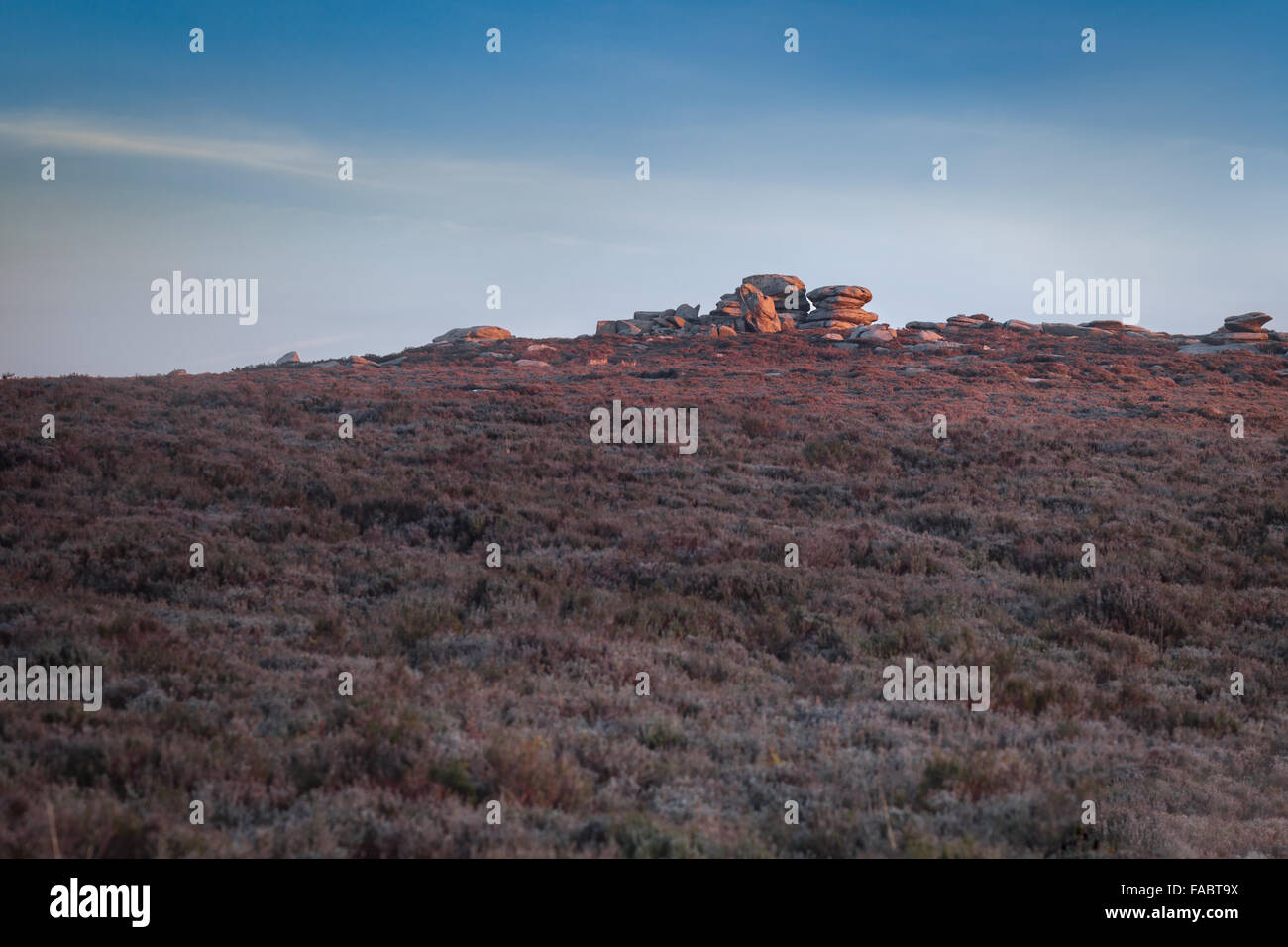 Warm Sunrise Light Falling onto Heathers Hill with Unsual Formation of Rocks. Peak District UK Stock Photo