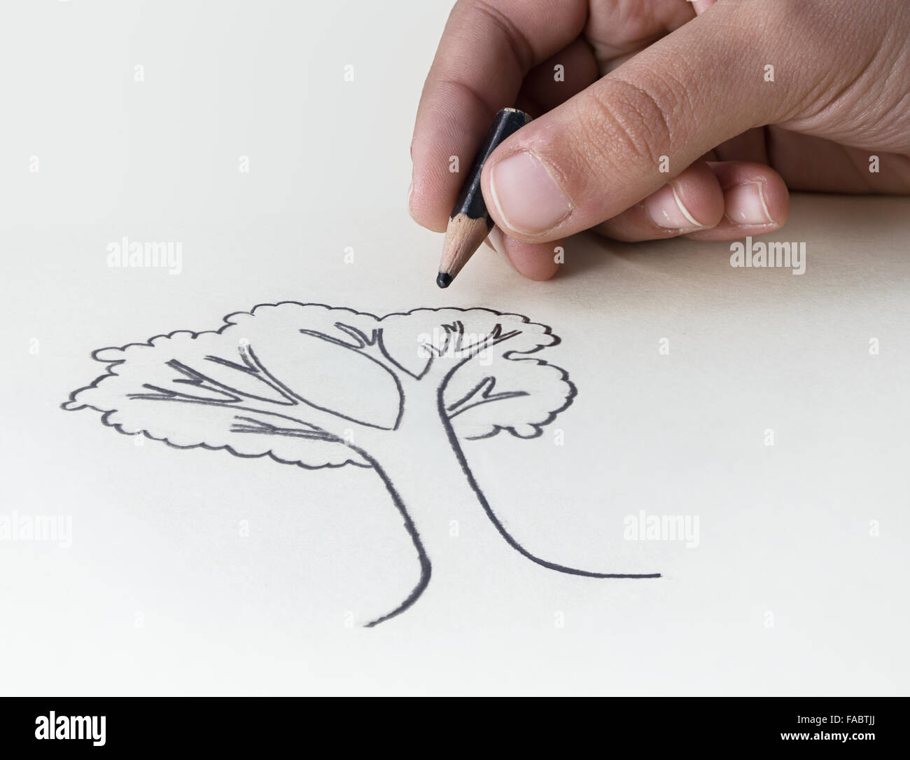 wallpapers Drawing Conservation Of Natural Resources Poster https www alamy com stock photo a child drawing a tree with a very short pencil stub expressing he 92459210 html