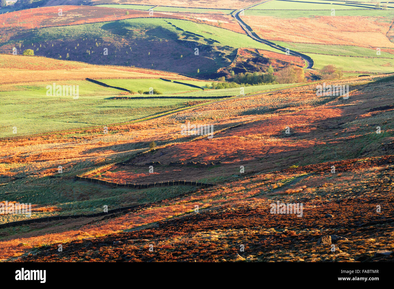 Beautiful Heatherland and Green Pastures in Spring Peakland, Peak District Derbyshire UK Stock Photo