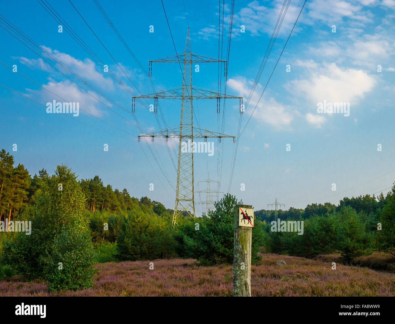 High voltage power line spanning the Lüneburger Heide near Mechtersen, Niedersachsen, Germany. Stock Photo