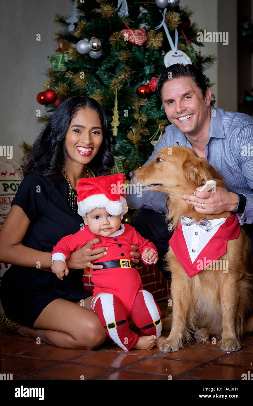 Multi-ethnic family of hispanic mother and caucasian father with mixed race baby boy and Golden Retriever dog gathered in front Stock Photo