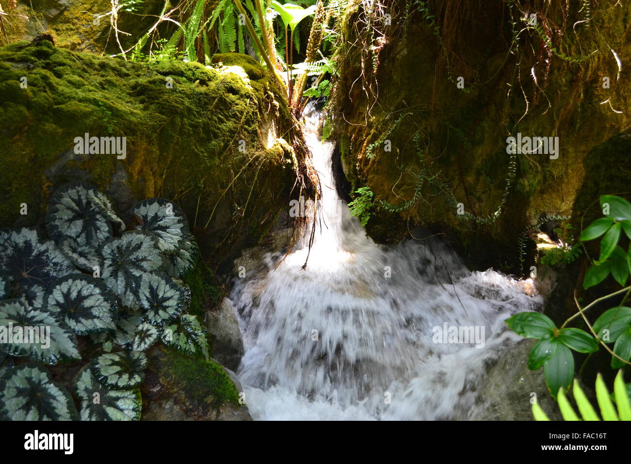 Small Waterfall Between Rocks Small waterfall flowing between rocks with moss and leaves Stock Photo ...