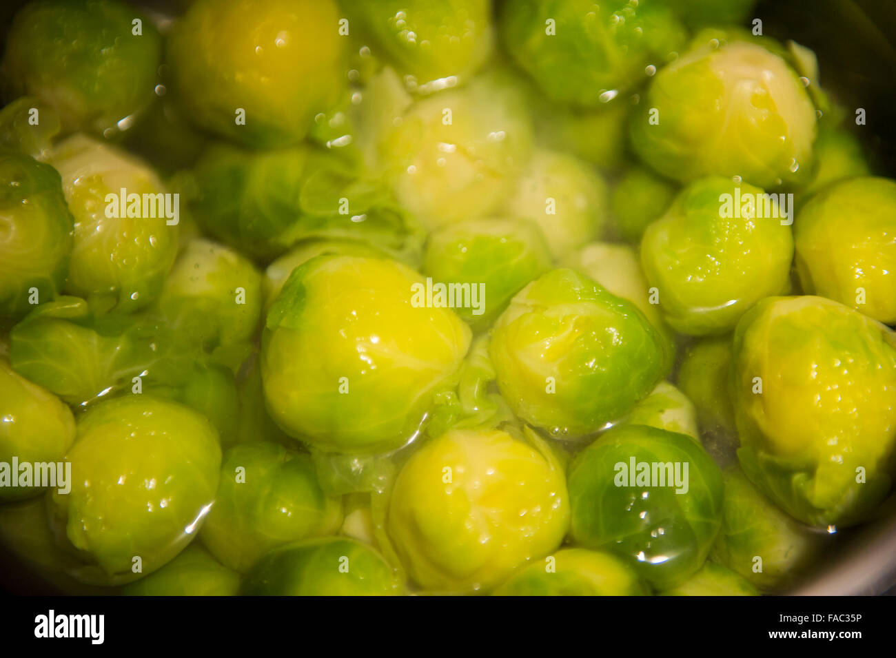 Brussel sprouts on the boil Stock Photo Alamy