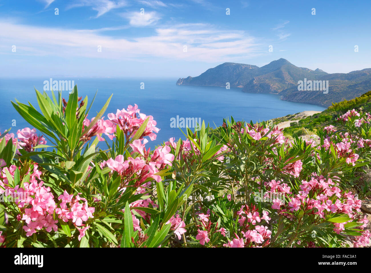 Kos - Dodecanese Islands, Greece, view of the Krikello Cape Stock Photo