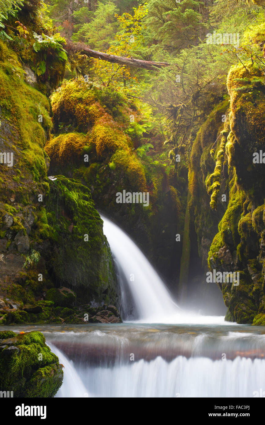 waterfall in the rainforest chugach national forest girdwood alaska FAC3PJ
