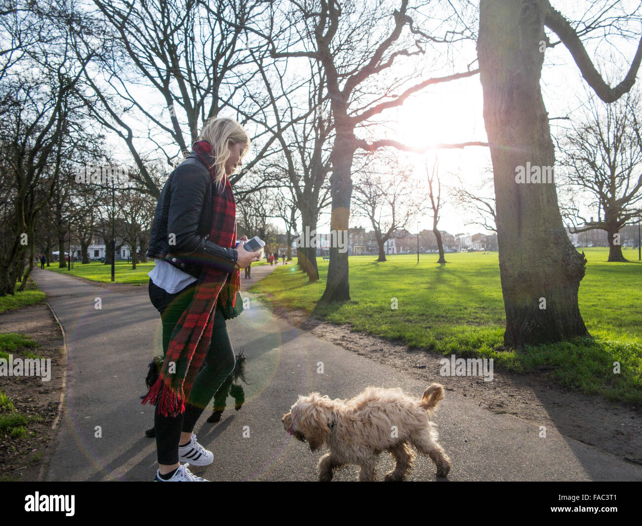 Teen girl walking dog hi-res stock photography and images - Alamy