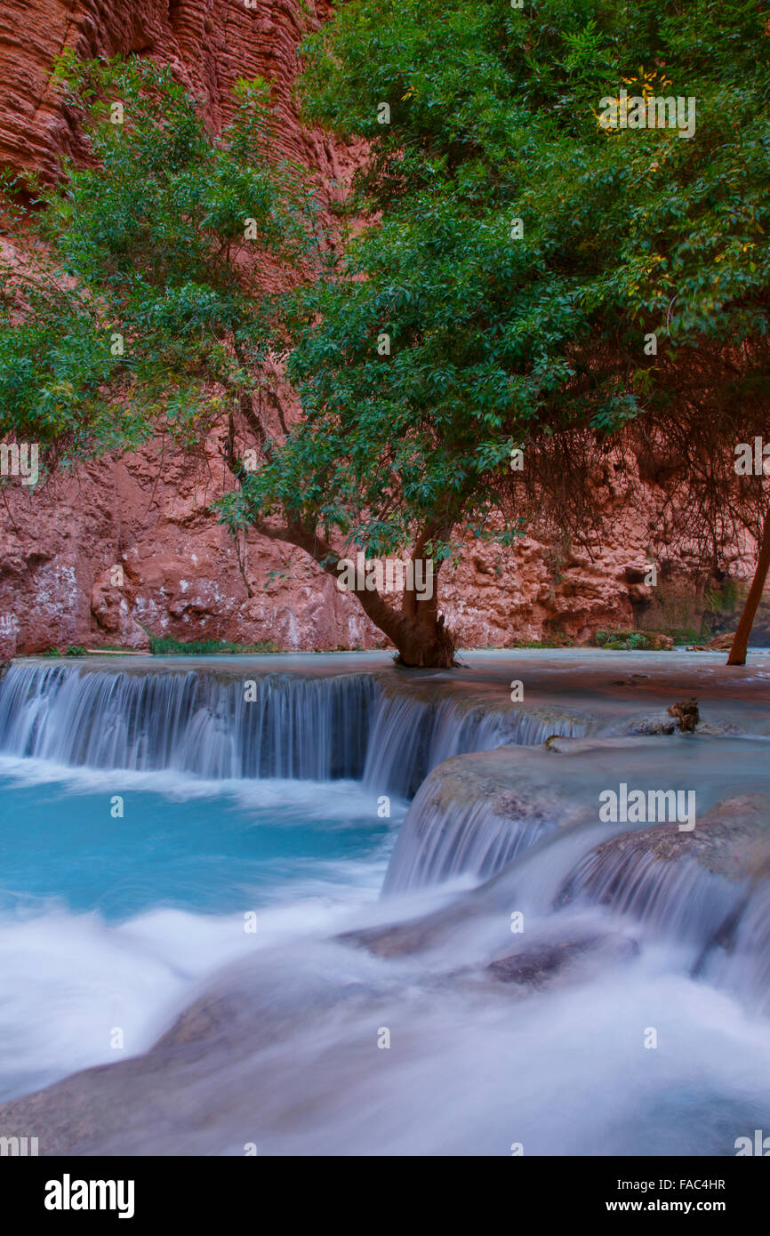 Mooney Falls, Havasupai Indian Reservation, Grand Canyon, Arizona. Stock Photo