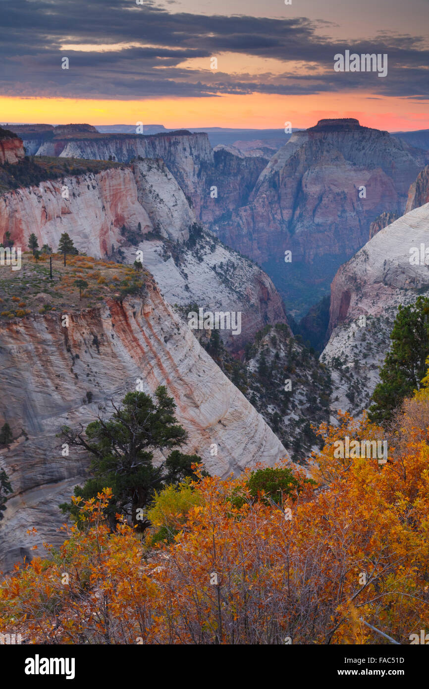 Behunin Canyon from the West Rim Trail, Zion National Park, Utah. Stock Photo