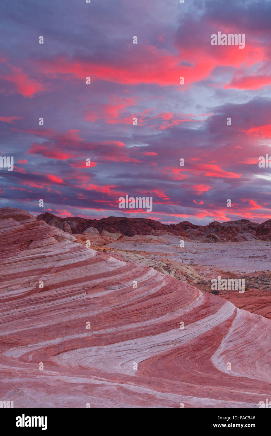 Fire Wave, Valley of Fire State Park, near Las Vegas, Nevada. Stock Photo