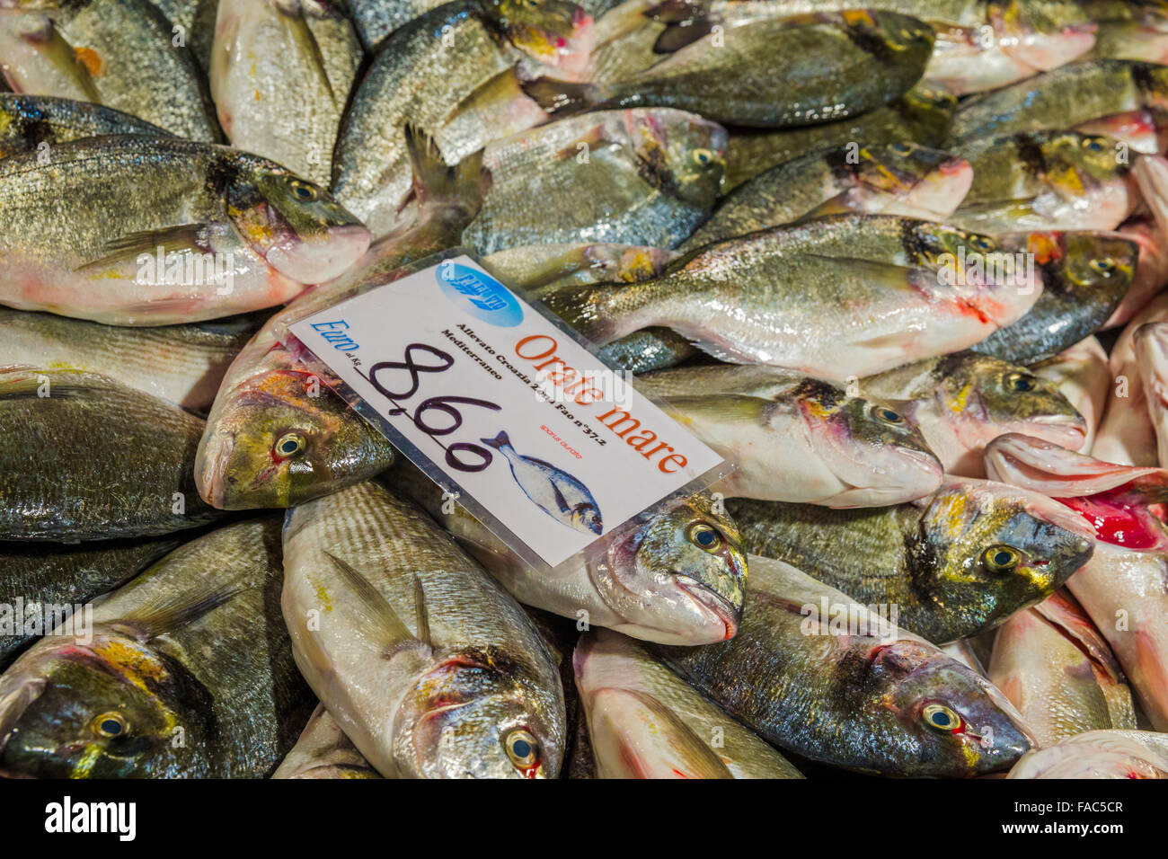 Rialto Fish Market, Venice Stock Photo Alamy