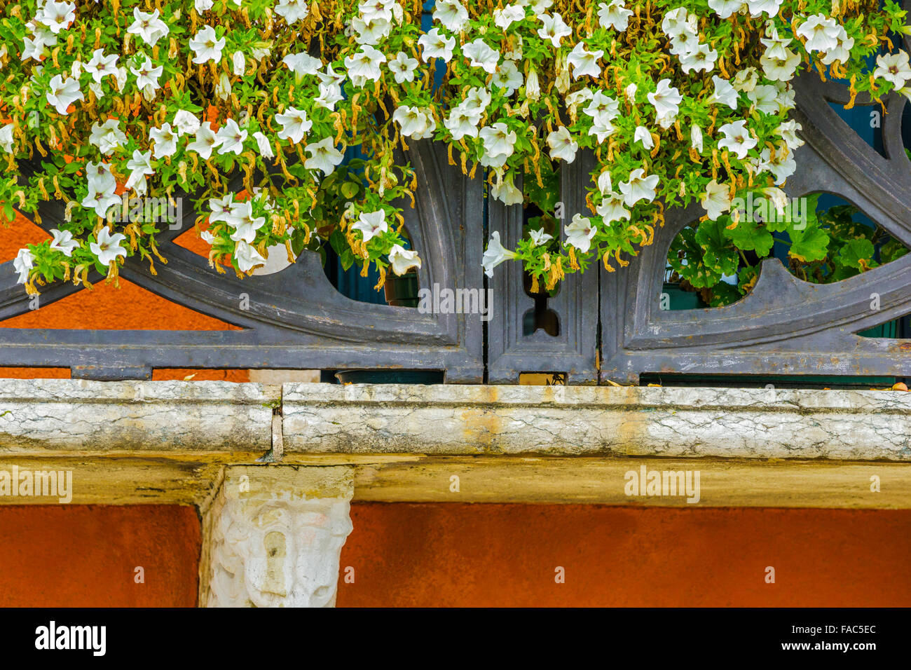 railing and flowers on building facade, Venice Stock Photo - Alamy