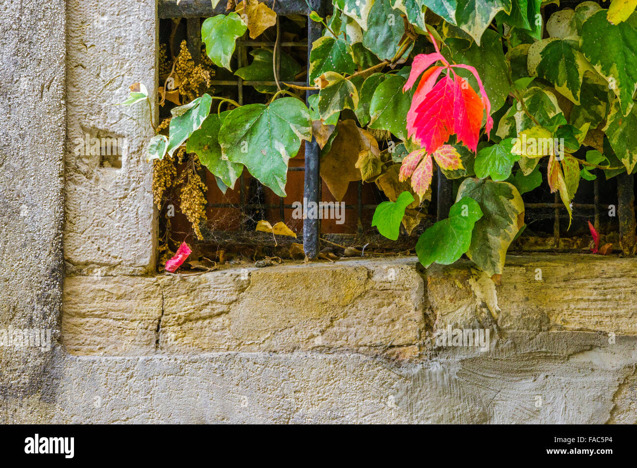 rustic window with iron bars, Venice Stock Photo - Alamy