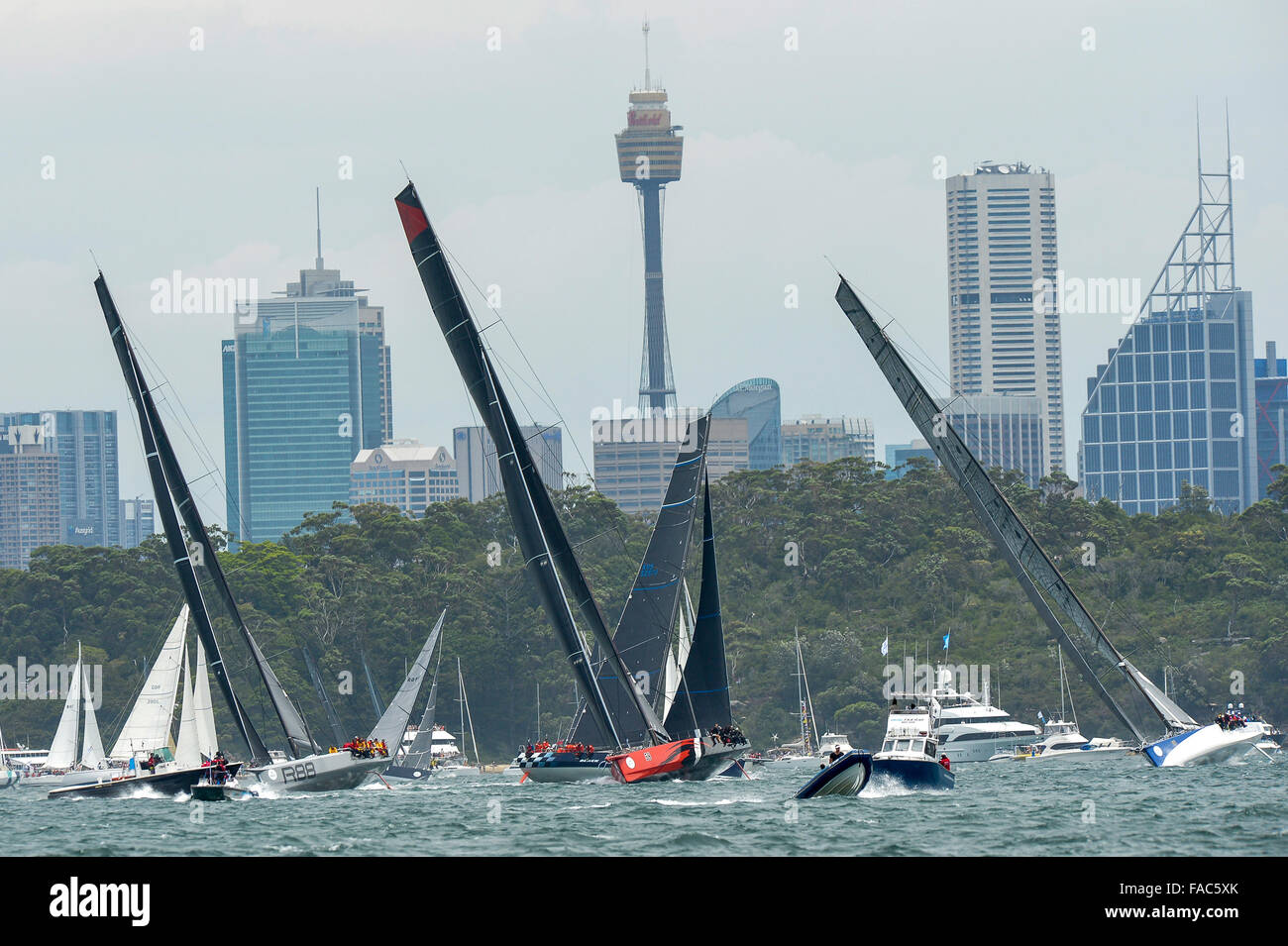 Sydney, Australia. 26th Dec, 2015. Rolex Sydney to Hobart Yacht race 2015. Comanche owned by Jim Clark &amp; Kristy Hinze Clark from SA skippered by skipper Ken Read type 100 Supermaxi, Wild Oats XI owned by Robert Oatley from NSW skippered by Mark Richards type RP100, Rambler owned by George David from the USA type Jk 27m Canting Maxi during the start of the 629 nautical mile race from Sydney to Hobart on Sydney Harbour. © Action Plus Sports/Alamy Live News Stock Photo