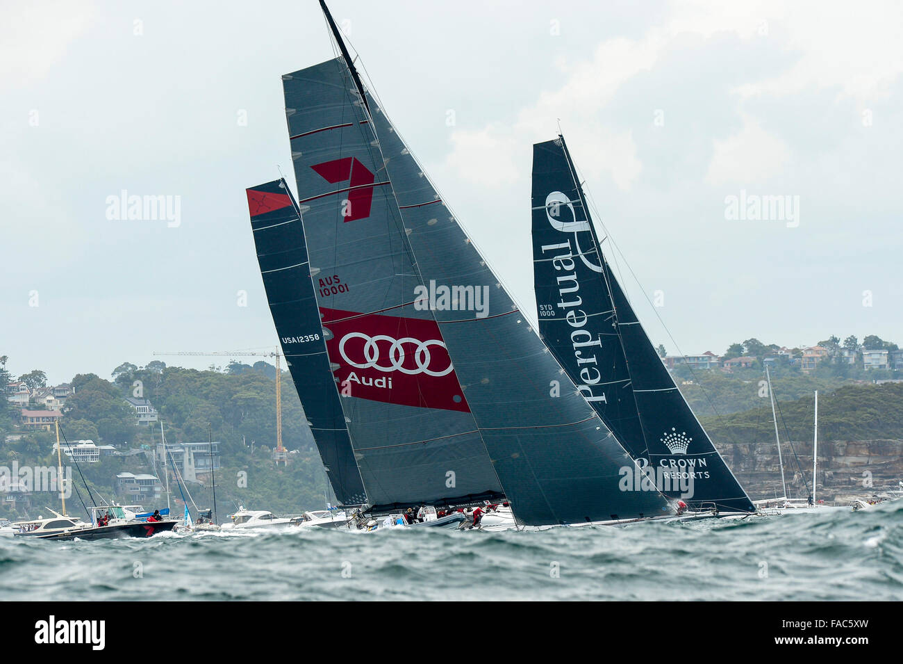 Sydney, Australia. 26th Dec, 2015. Rolex Sydney to Hobart Yacht race 2015. Wild Oats XI owned by Robert Oatley from NSW skippered by Mark Richards type RP100, Perpetual Loyal owner/skipper by Anthony Bell from NSW type Juan-K 100. and Comanche owned by Jim Clark &amp; Kristy Hinze Clark from SA skippered by Ken Read type 100 Supermaxi lead the race through the Heads during the start of the 629 nautical mile race from Sydney to Hobart on Sydney Harbour. © Action Plus Sports/Alamy Live News Stock Photo