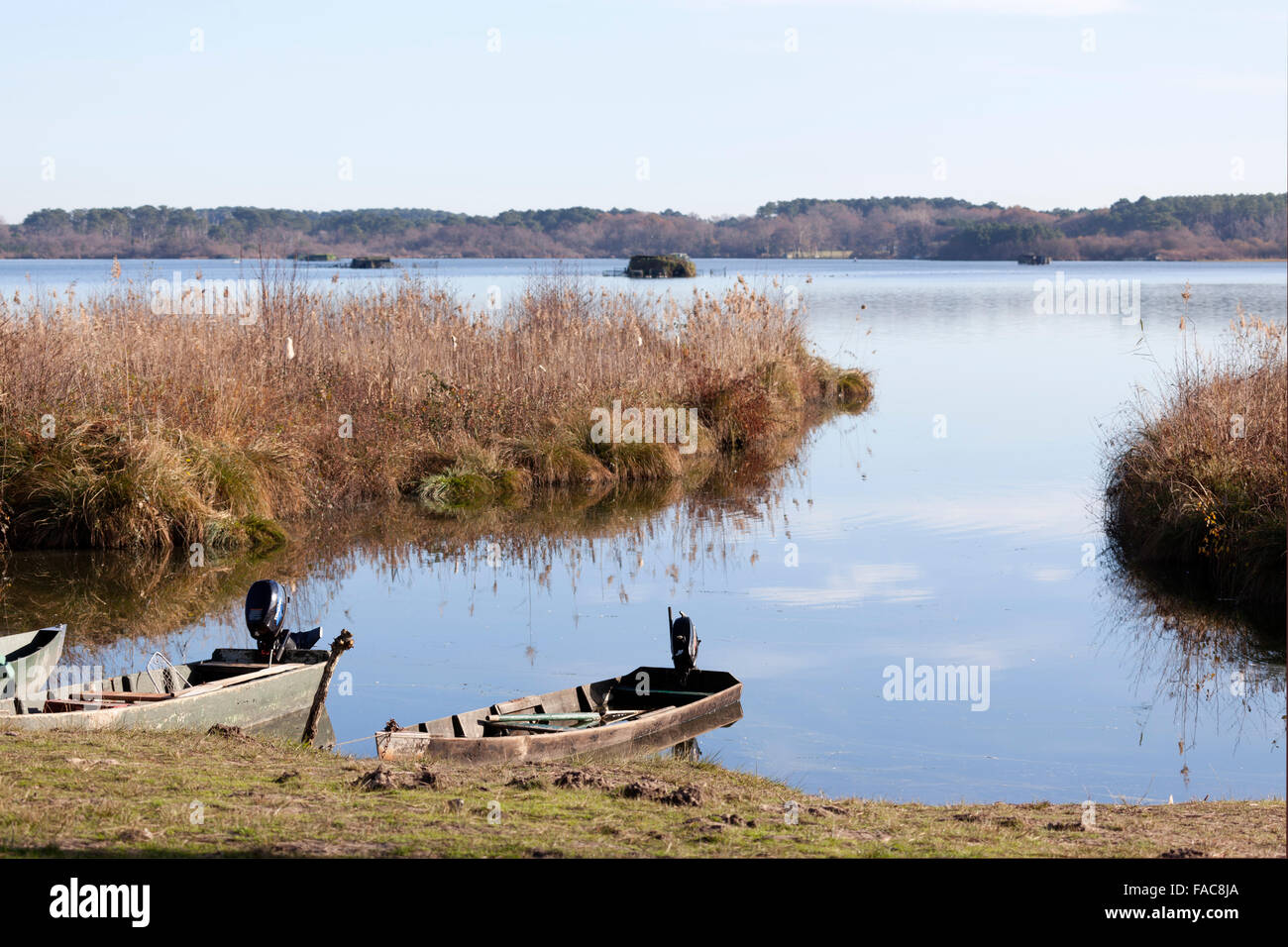 In the Autumn, a view from the Southern bank of the White Pond near the Seignosse village (Landes - Aquitaine - France). Stock Photo