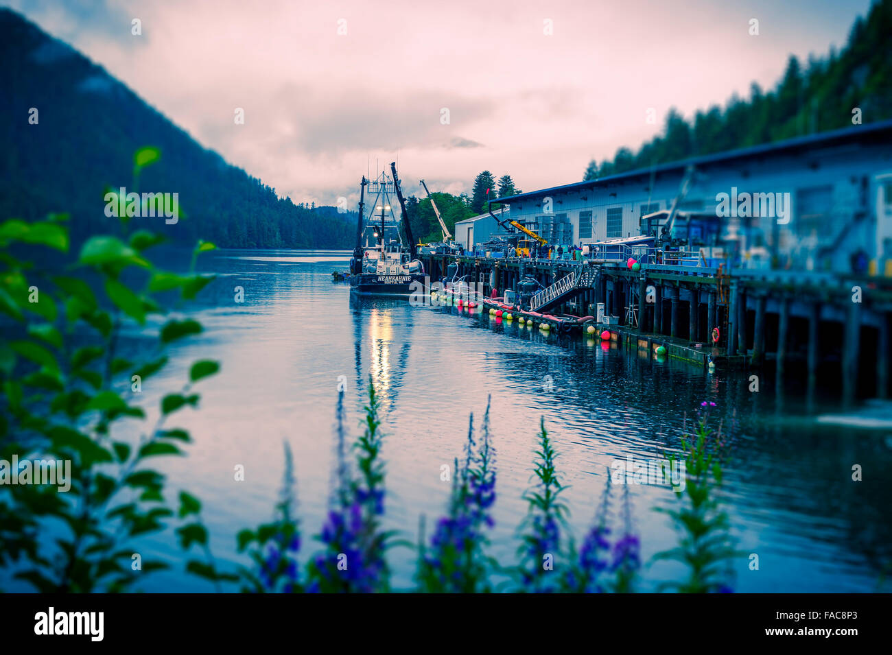 Commercial fishing vessel docked at processing plant in Silver Bay near