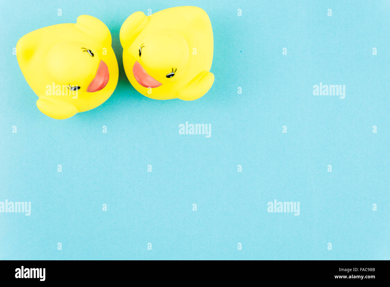 Pair of yellow rubber ducks isolated over colorful blue background ...