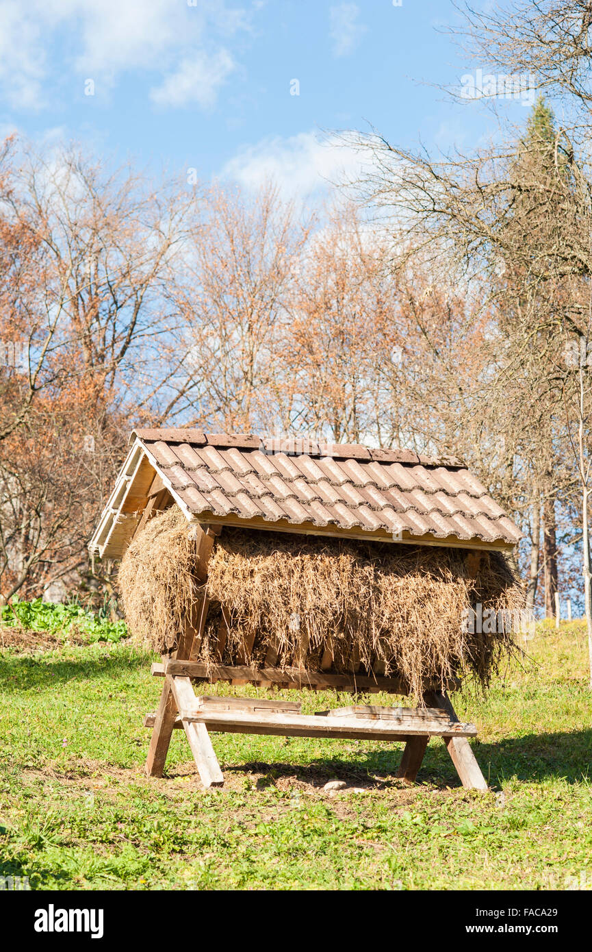 Manger with hay in a pen for large mammals. The traditional design of the trough for feeding animals during winter in hunting Stock Photo