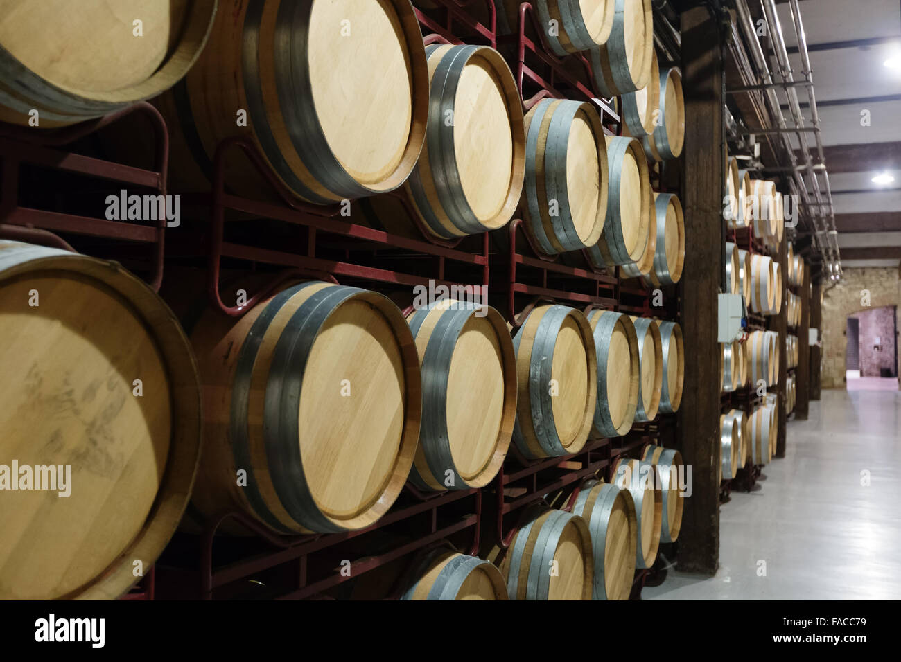 Many wooden barrels in rows at contemporary winery Stock Photo - Alamy