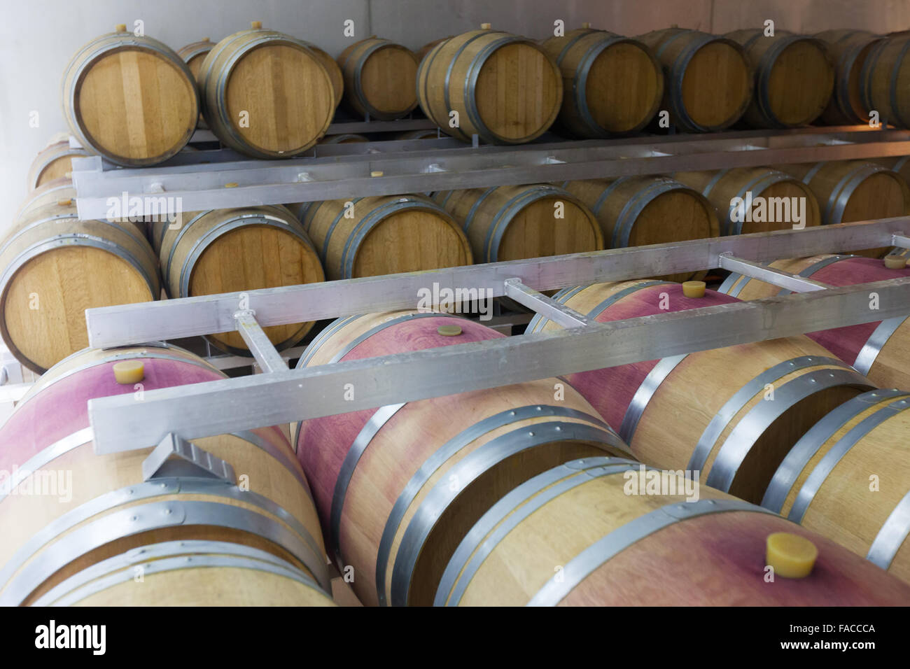 barrels in rows at contemporary wine factory Stock Photo - Alamy