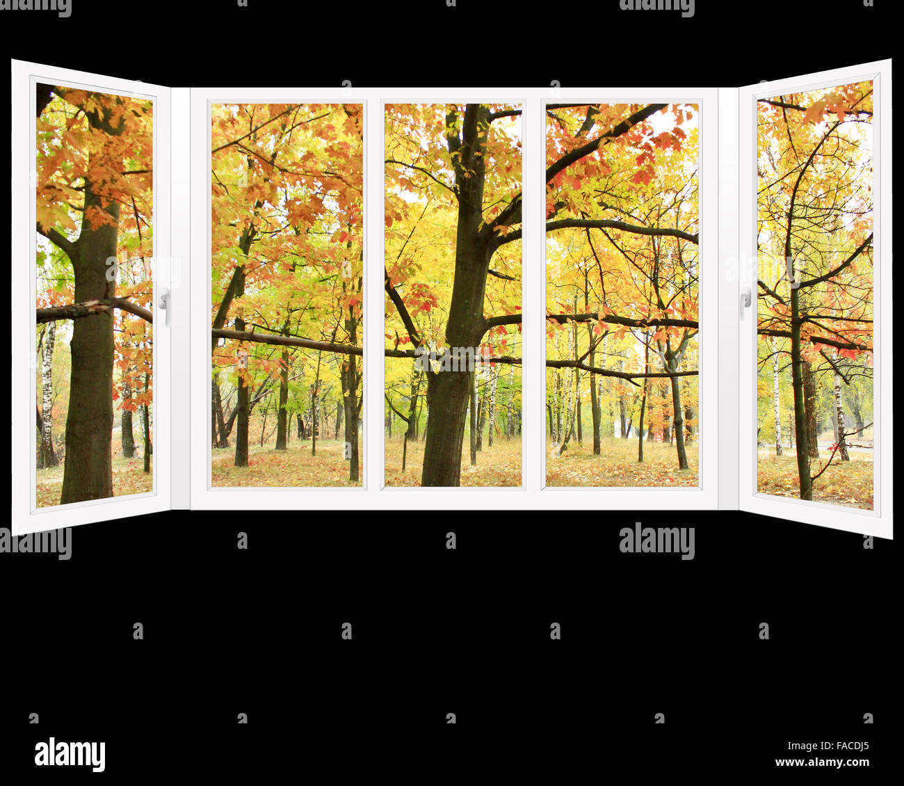 window overlooking the autumn park with yellow trees isolated on black ...
