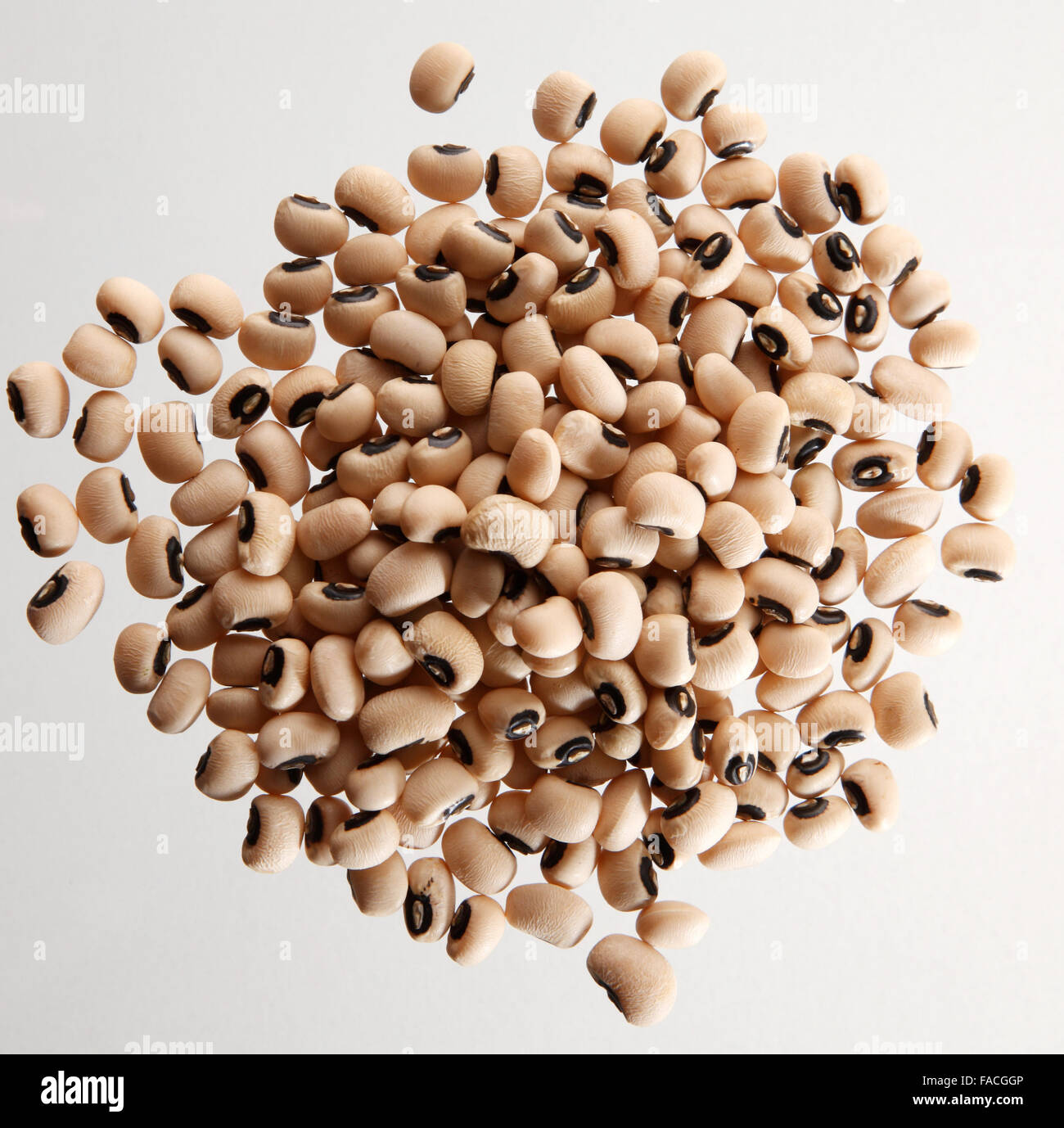 a pile of the Dried blackeyed beans Stock Photo Alamy