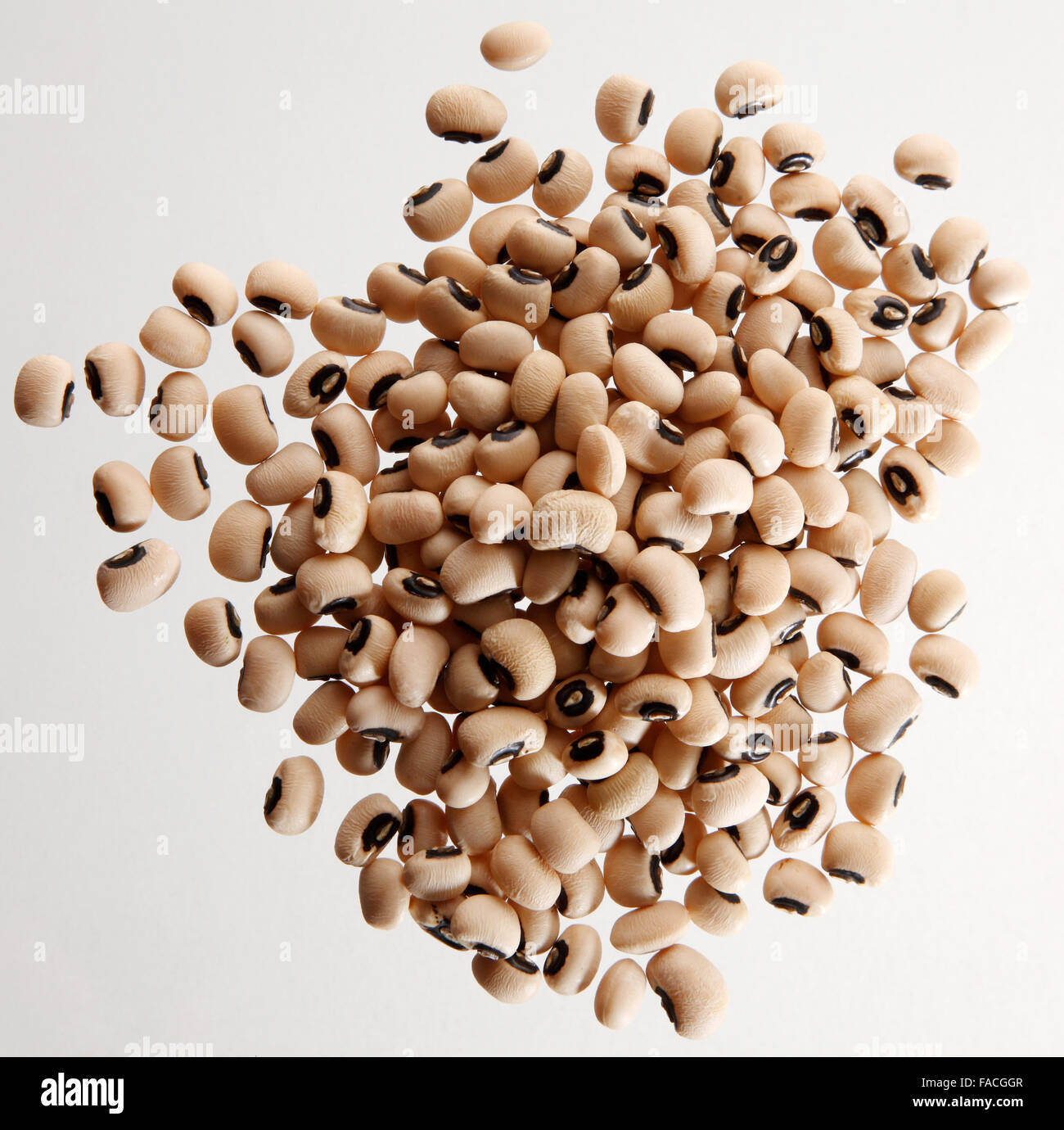 a pile of the Dried blackeyed beans Stock Photo Alamy