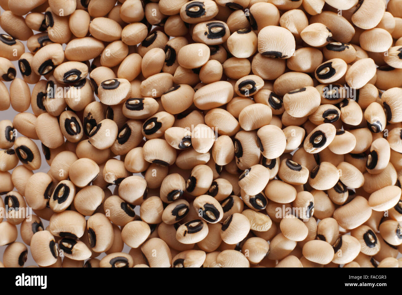 close of the indian food Dried blackeyed beans Stock Photo Alamy