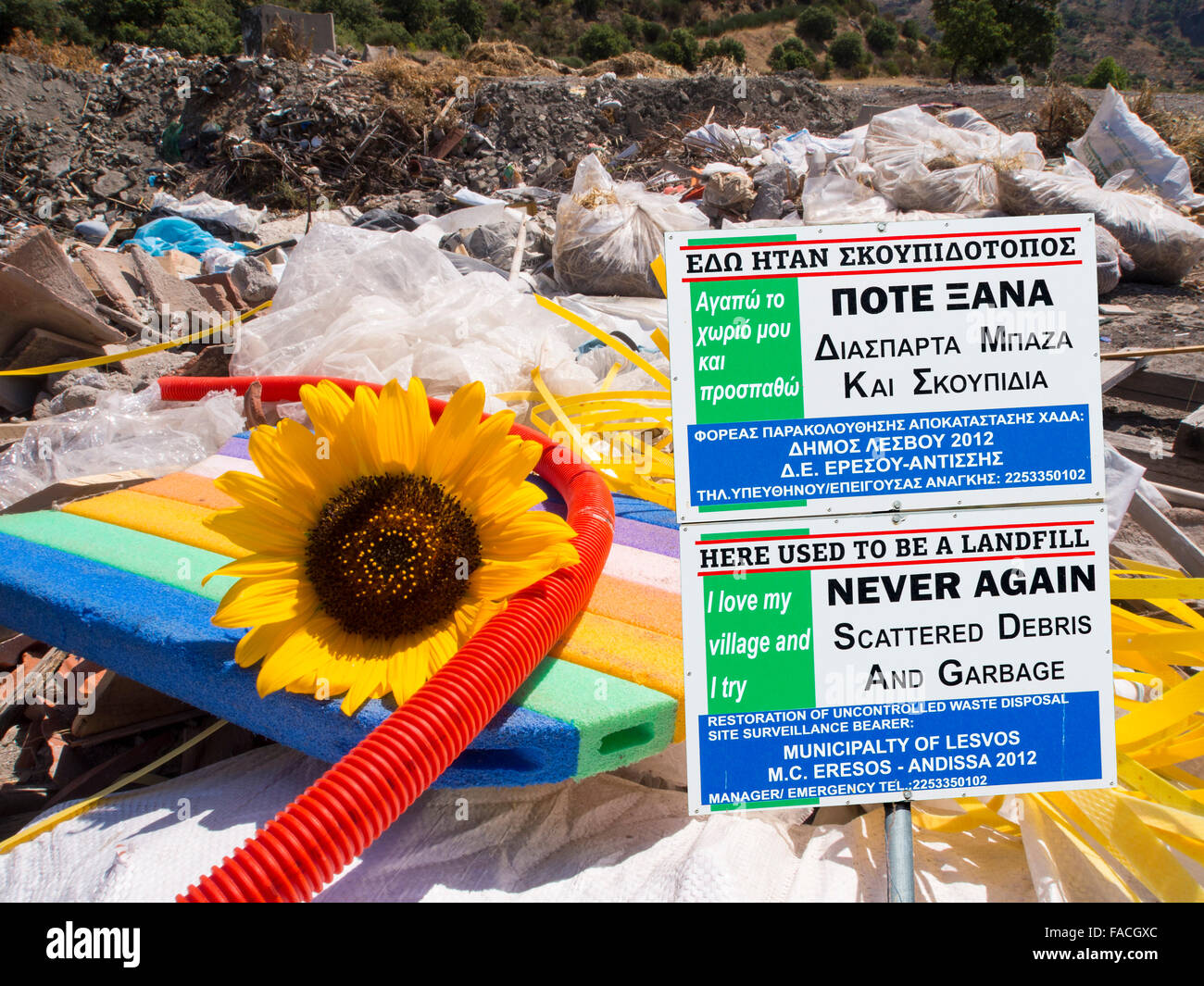 Illegal fly tipping of rubbish near Skala Eresou on Lesvos, Greece, with a sunflower. Stock Photo