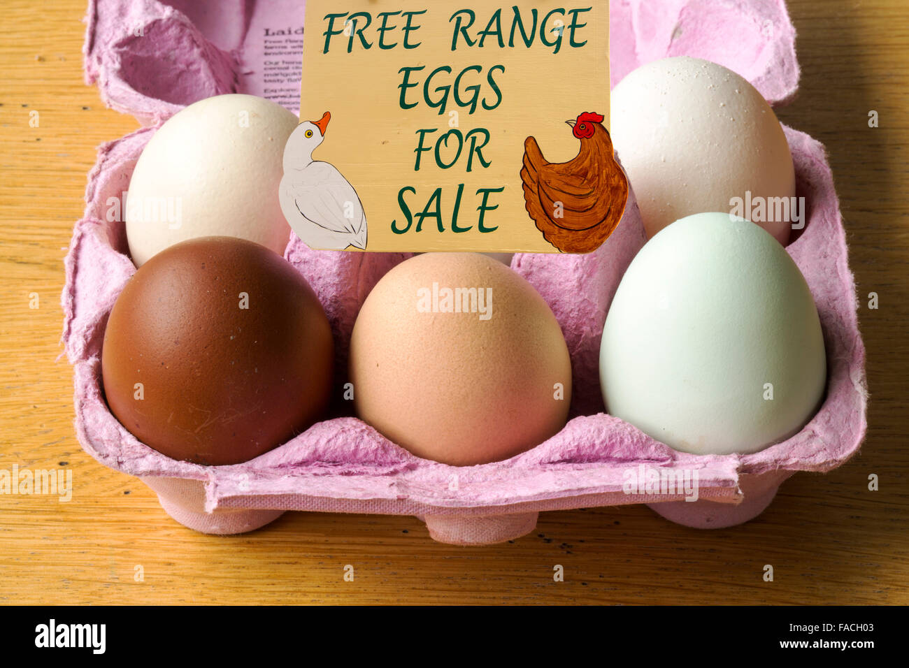 Free range eggs from happy chickens of different breeds. Stock Photo